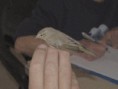 /album/some-overseas-trips/eastern-bonnellis-warbler-kibbutz-lotan-jpg/